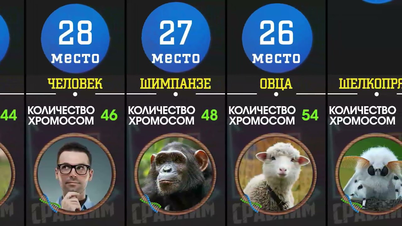 У кого больше У кого больше