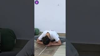 best yoga teacher training course in rishikesh #yoga #yogacourses #yogateachertraining