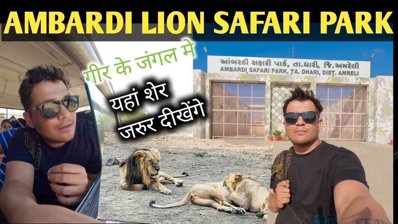 Ambardi Safari Park | Yaha Sher Zarur Dikhega | Ambardi Lion Safari | Ambardi Lion Safari Park Dahri