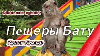 Пещеры БАТУ - мартышки преследуют I Куала-Лумпур I Малайзия