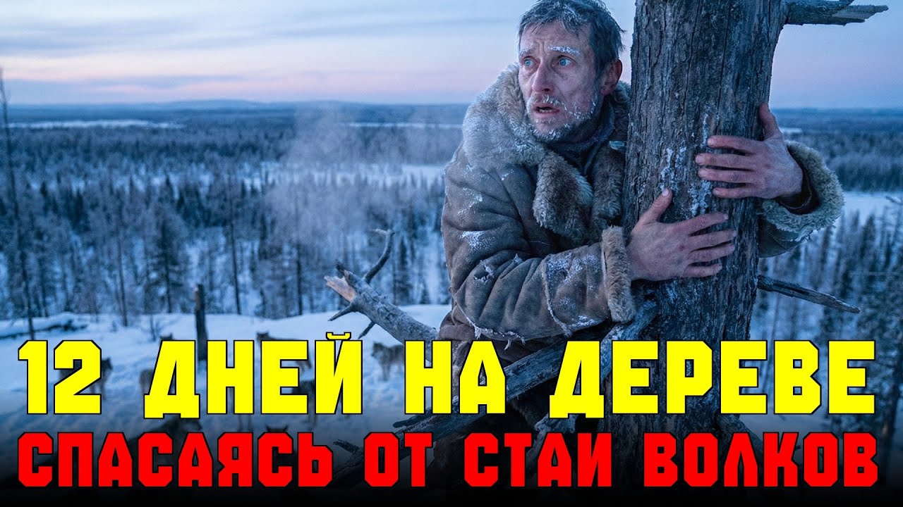 Я ПРОСИДЕЛ 12 ДНЕЙ НА ДЕРЕВЕ С ПЕРЕЛОМОМ, ПОКА 10 ВОЛКОВ ЖДАЛИ МОЕЙ СМЕРТИ