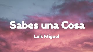 Luis Miguel - Sabes una Cosa [Lyrics+Vietsub]