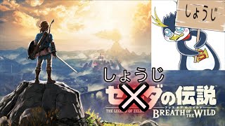 しょうじのゼルダの伝説 ブレスオブザワイルド