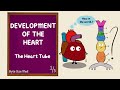 Development of the heart  the heart tube  part 13  cardiac looping  cardiovascular embryology