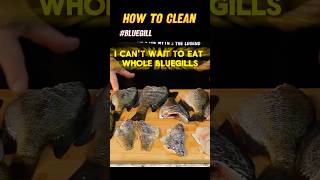 Discover The Art Of Cleaning Bluegills For Perfect Fish Fry