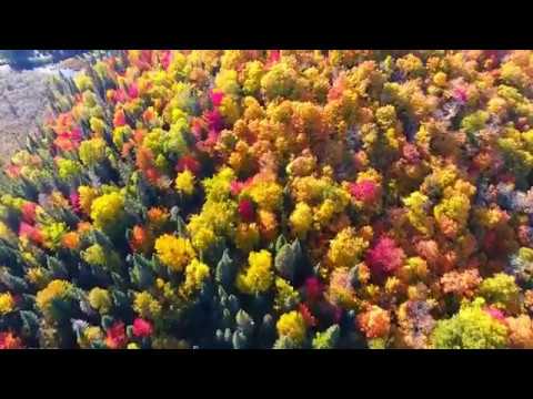 Смотреть клип ДУДУК!!! Волшебная New-age Музыка! Дмитрий Метлицкий Смотреть клип ДУДУК!!! Волшебная New-age Музыка! Дмитрий Метлицкий