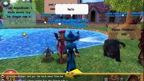 Wizard101 Messing With People