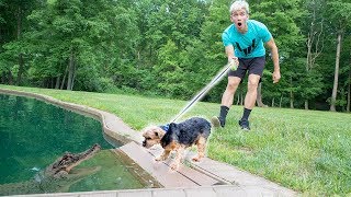 MONSTER IN POND VS DOG!! MONSTER IN POND VS DOG!!
