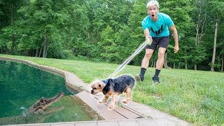 MONSTER IN POND VS DOG!!