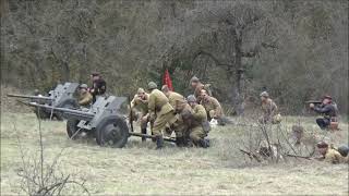 24.03.2019 г. Мартыновский овраг. Реконструкция парада и боевых действий 25 Чапаевской дивизии