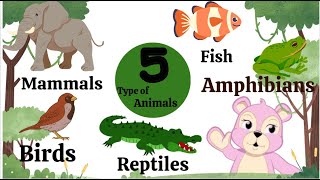 Animal classification for Kids | Mammals, Birds, Reptiles, Amphibians & Fish |types of animals