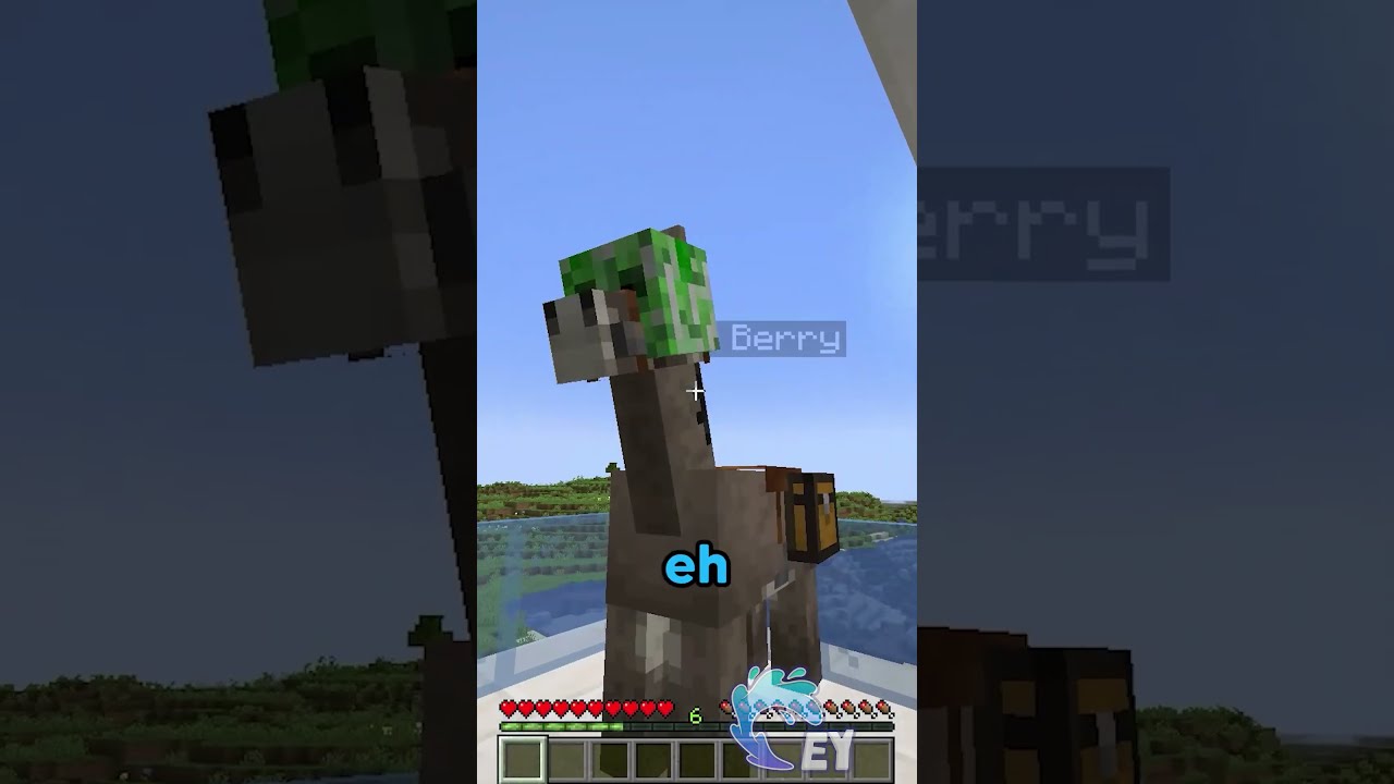 This House Makes No Sense Minecraft
