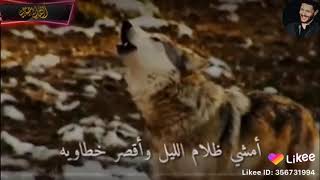 كلام عن عزة النفس 