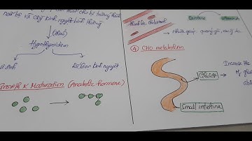 Sinh lý nội tiết 18 - Tác động và điều hoà hormone tuyến giáp