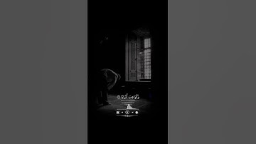 القارئ أحمد حمادي 💚