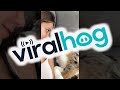 Kissing my Half Asleep Pup to See Her Reaction || ViralHog