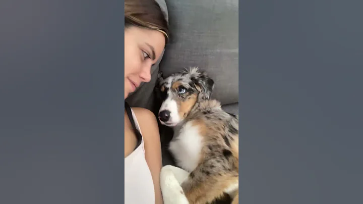 Kissing my Half Asleep Pup to See Her Reaction || ViralHog - DayDayNews