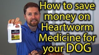 How to Save Money on Heartworm Medicine for Your Dog