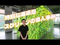特別な透過型スクリーンの導入事例 - OneDisplayより