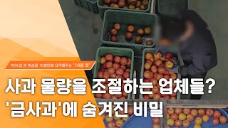 [PD수첩 10분 컷] 사과 물량을 조절하는 업체들? '금사과'에 숨겨진 비밀 - 2024년 4월 30일 방송