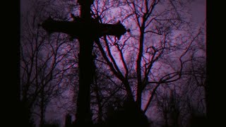 Famous LikeLoveHate | 𝘚𝘭𝘰𝘸𝘦𝘥 Profile