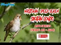 SIKATAN LONDO | MASTERAN SPEED SEREM | MASTERAN AMPUH MURAI BATU,KACER,TROTOL,MABUNG ( ANTI STRES)