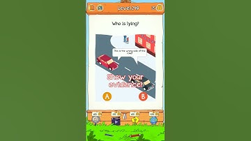 Braindom 2 Level 249 || who is lying.