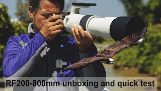 canon rf200 800mm unboxing and quick test, is it better than my 100-500mm? lets find out