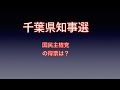 【千葉県知事選挙２０２１】千葉県民はひらつかまさゆきをどうみるのか？平塚正幸　茂原市議会議員選挙　前橋由季　第２５回参議院議員選挙２０１９　NHKから国民を守る党　立花孝志　門田正則　かどたまさのり