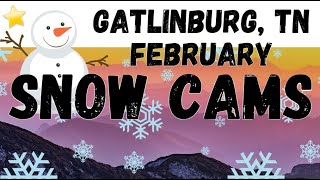 Live Cams Snow, Gatlinburg & Pigeon Forge, Tennessee