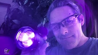 UV BEAST FLASHLIGHT UNBOXING    AND A HUNT FOR PET URINE - BUTTERFLY AND MOTH CATERPILLARS