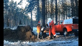 #СантаКлаус угостил голодных лесных зверей и птиц на #Рождество,  после мощных снегопада в Эстонии