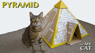 Cat PYRAMID  fun DIY