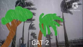 Palm tree in hurricane (animation)