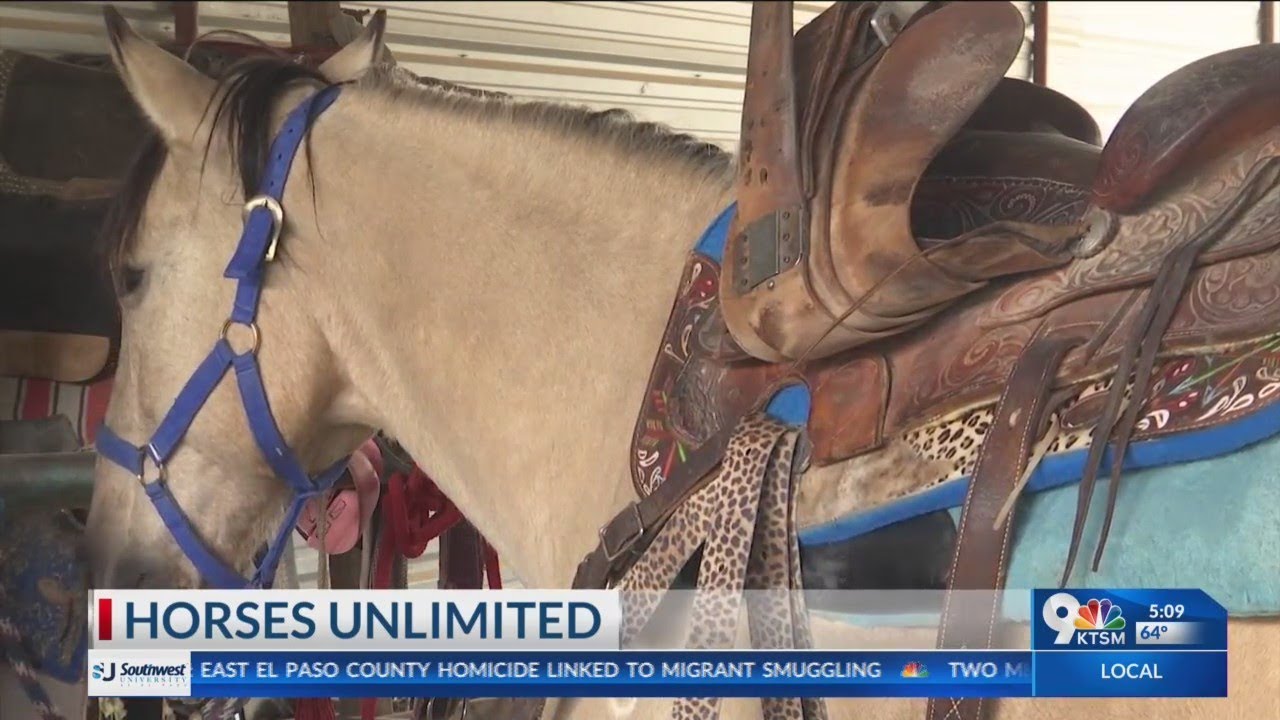 Horses Unlimited seeking vendors for annual fall festival YouTube