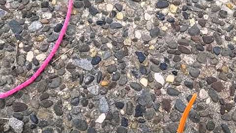 Free firing system from RFRemotech