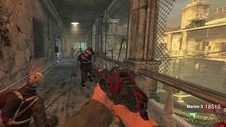 BLACK OPS ZOMBIES: VERRUCKT Renaissance Mod (FULL GAMEPLAY)
