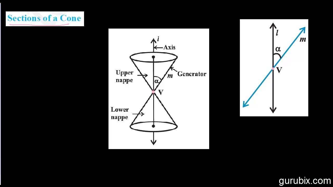 Hindi Sections of a Cone Conic Sections Ch 11 CBSE Class 11th