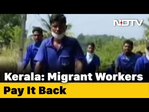 Migrant Workers In Kerala Empty Their Savings, Donate To COVID Relief ...