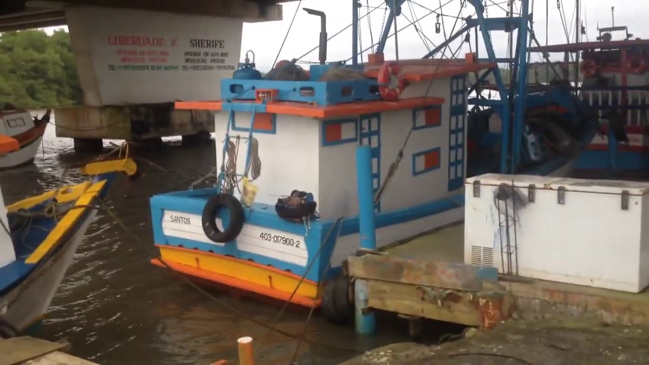 VISITA AOS BARCOS DOS PESCADORES DA REGIÃO DE ITANHAEM, SP - YouTube