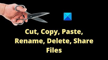 How to Cut, Copy, Paste, Rename, Delete, Share Files and Folders in Windows 11
