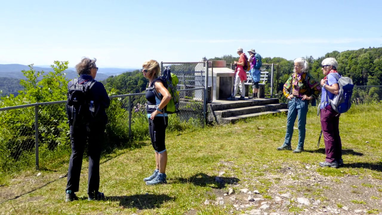 Bürersteig - Brugg via Geissberg und Bruggerberg (AG) / 01.06.20