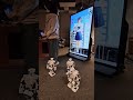 #AWS #Stands #Agent + AWS #IoT + #廣東話 #小冰 #數字人 #digitalhuman 一體機 + #humanoid #robot