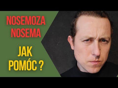 Wideo: Jak utrzymać chomika w chłodzie w czasie upałów?