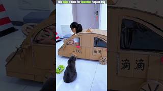 The Tommy Walking To Kitty New Viral Gadgets, Smart Appliances, Kitchen Utensils Home Inventions