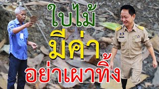 สร้างประโยชน์จากป่า | คนรักษ์ป่า ep 71