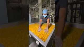 triangle snacks fried and roasted process manufacturing line