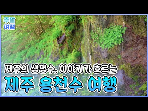 생명의 물길을 따라 떠나는 여행, 제주 용천수 여행 [테마기행길]