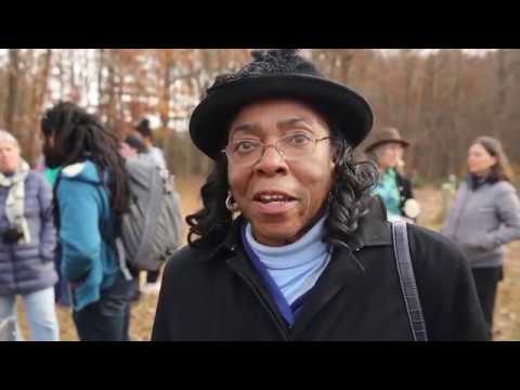 We Won't Back Down - video preview