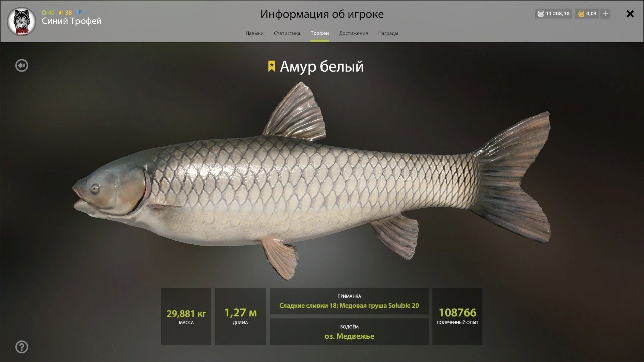 Карта озеро медвежье рр4